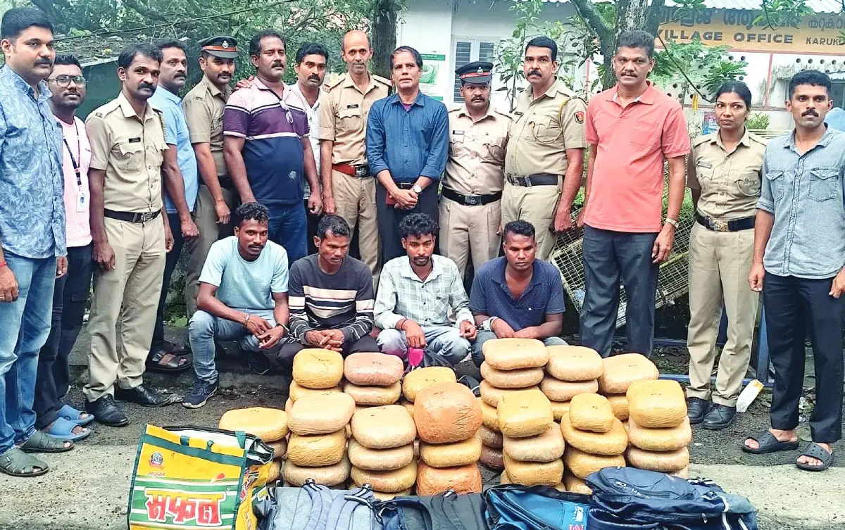 പിടികൂടിയ കഞ്ചാവും പ്രതികളുമായി എക്സൈസ് ഡെപ്യൂട്ടി കമ്മിഷണർ പി.കെ. സതീഷും സംഘവും