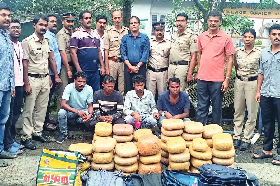 11 ബാഗുകളിലായി 58 പാക്കറ്റുകൾ; 116 കിലോ കഞ്ചാവുമായി നാല് ഒഡിഷ സ്വദേശികൾ പിടിയിൽ