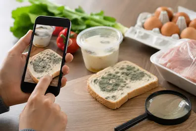 Unsafe food? Here's how to report it using the FSSAI Food Safety Connect app