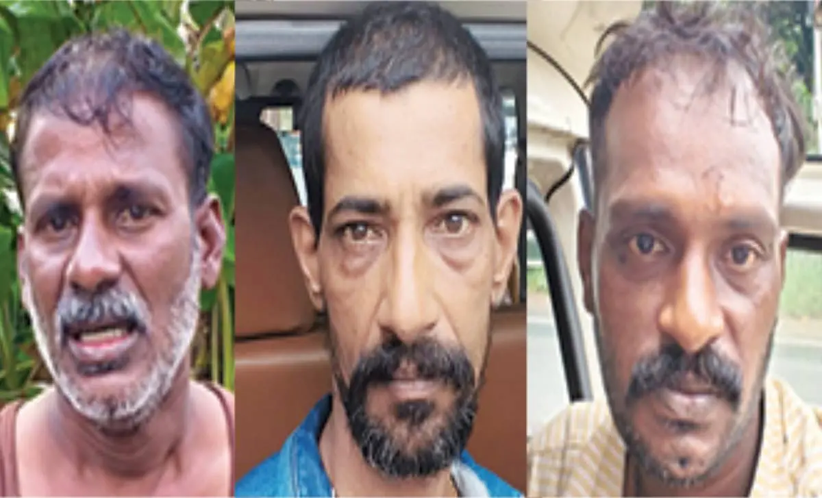 സുധീഷ്കുമാർ, അനീഷ് ആന്റണി, അനിൽ കെ. രാജൻ