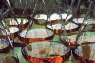 Tesamorelin: Molecular signaling, metabolic modulation and emerging research