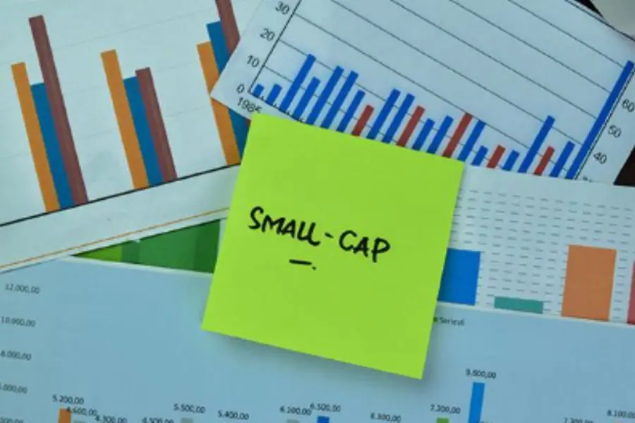 Small-cap SIP during market highs: How to manage valuations and stay consistent