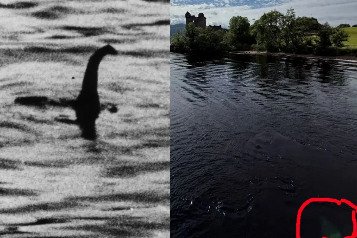 Photo: X, www.lochnesssightings.com