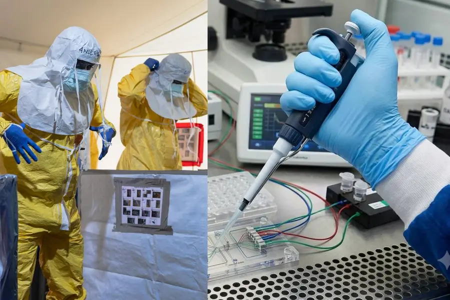New Oxford Ebola Vaccine