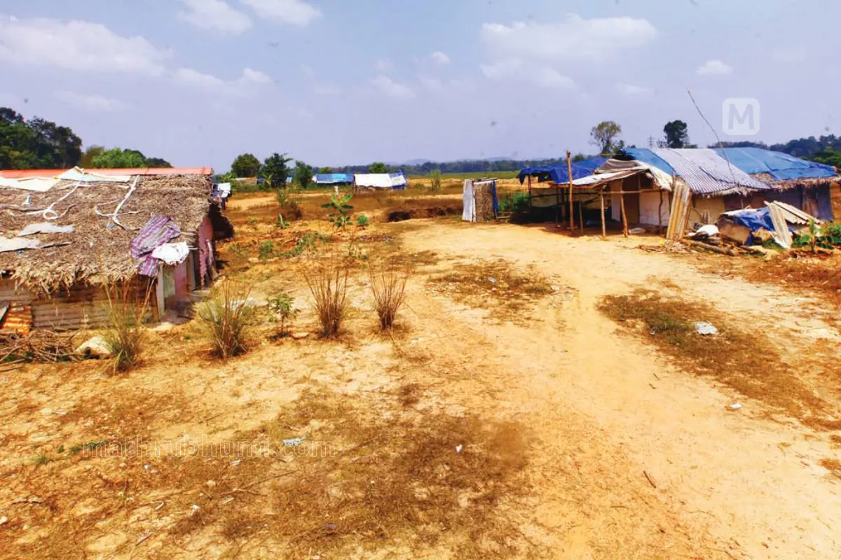 ആറന്മുള വിമാനത്താവളത്തിനായി നിശ്ചയിച്ചിരുന്ന സ്ഥലം | ഫോട്ടോ - മാതൃഭൂമി