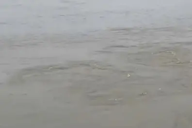 Prayagraj on flood watch as Ganga and Yamuna water levels continue to rise