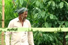 'ശാസ്ത്രീയ അറിവില്ല, കണ്ടും പഠിച്ചുമുള്ള അറിവ്... വീട്ടിലേക്ക് വേണ്ടതെല്ലാം നട്ടുണ്ടാക്കി ഇബ്രാഹിം