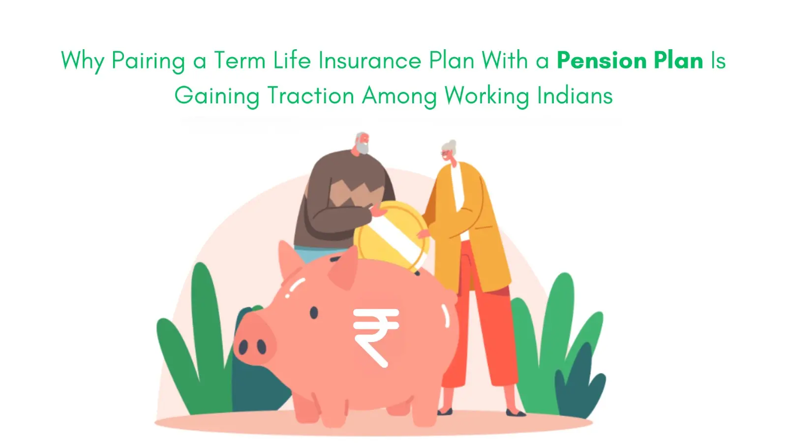 Term Life Insurance Plan