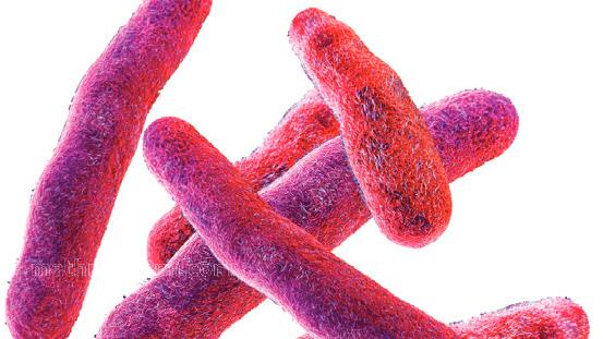 Shigella returns to Kerala as student tests positive; health officials monitor situation