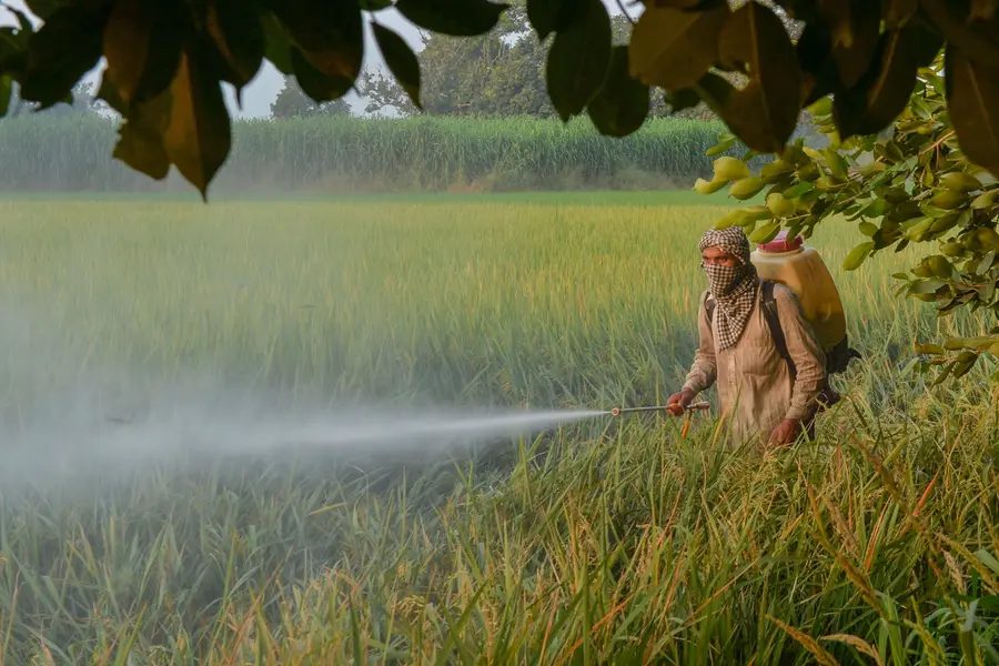 5 മില്ലി പോലും ജീവനെടുക്കും; 99% മരണനിരക്കുള്ള 'പാരക്വാറ്റിന്' പൂട്ട്, ഇത് കേരളത്തിന്റെയും വിജയം