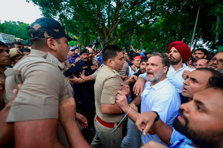 Rahul Gandhi (2).jpg
