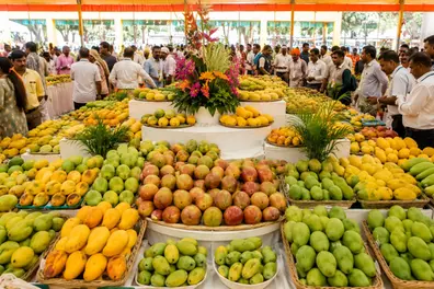 800 mango varieties, record entries: UP mango festival 2026 makes a splash