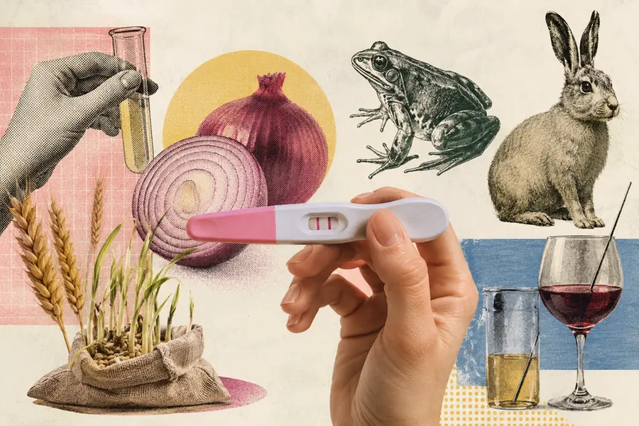 From onions to rabbits: How a woman ended centuries of bizarre pregnancy tests