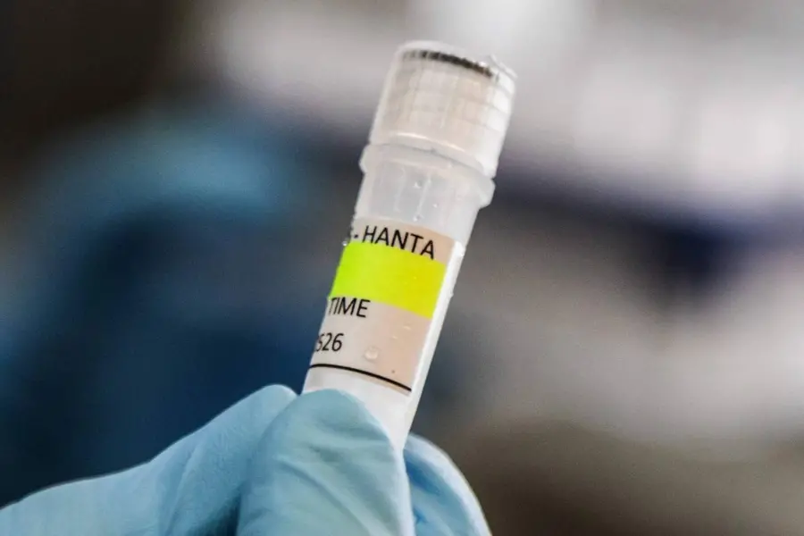 hantavirus
