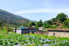 മൺസൂൺ മാജിക് ഇൻ വട്ടവട; ചിലന്തിയാറിലെ തണുപ്പും സ്‌ട്രോബറി തോട്ടത്തിലെ മധുരവും