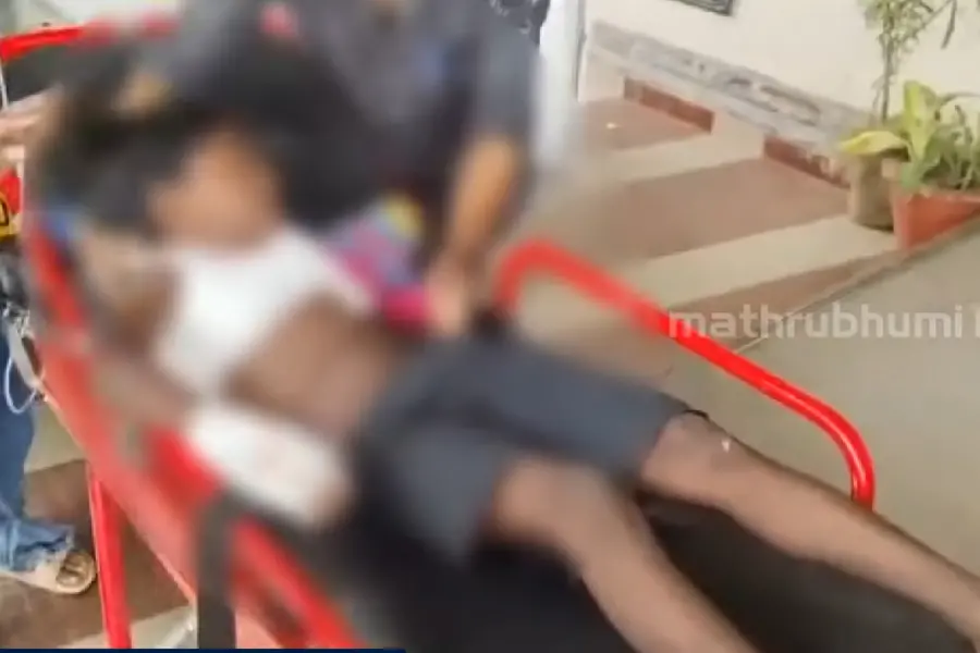 ഇടുക്കിയിൽ എട്ടുവയസ്സുകാരനെ കുത്തിയെറിഞ്ഞ് കാട്ടുപോത്ത്; പള്ളനാട്ടിൽ വൻ പ്രതിഷേധം
