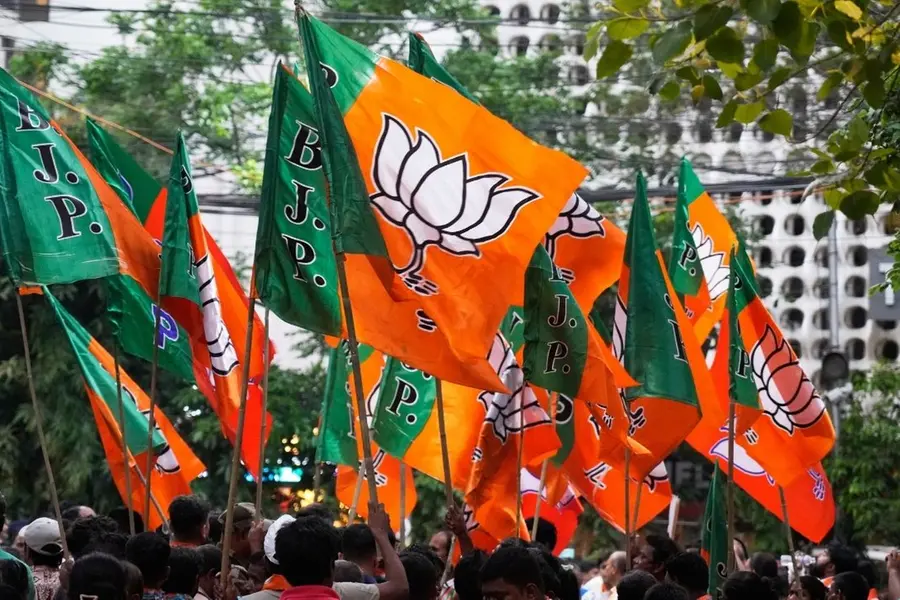 bjp-flag