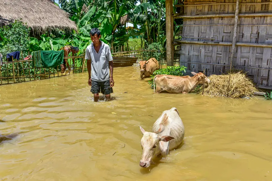 A man wades through knee-deep flood-affected area after heavy rainfall, in Golaghat, Assam