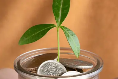 Your FD has matured! Here's what to do next
