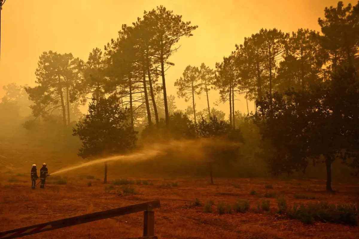 Firefighters spray water along the edge of a forest during a wildfire near the town of Lege-Cap-Ferret, in southwestern France on July 24, 2026 (Photo: AFP)