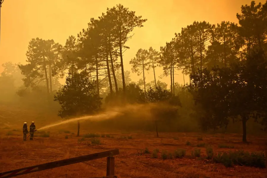 wildfire