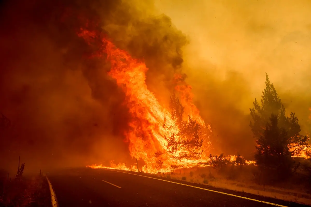 Flames consume a tree along Jackson Trail Rd. as the Bench fire burns on Saturday, in Warm Springs, Ore. | Photo: AP