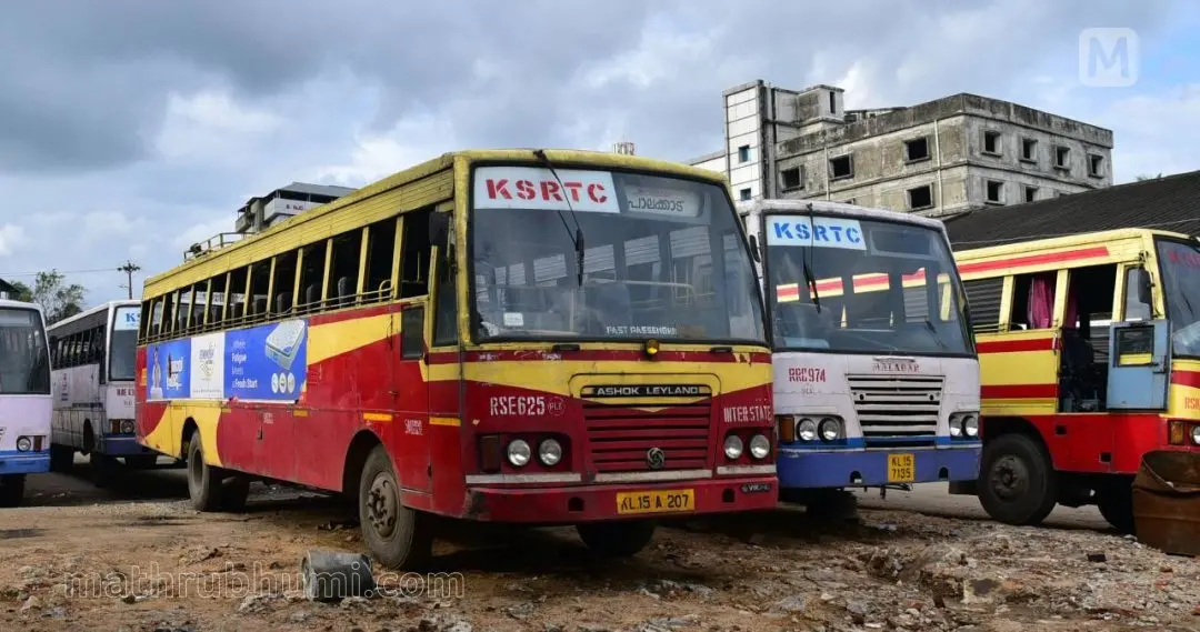 Representational Image | Photo: Mathrubhumi