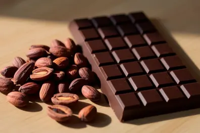 Why do chocolate bars have squares? The answer is more fascinating than you think