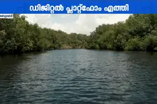 കണ്ടൽക്കാടുകൾ സംരക്ഷിക്കാൻ ഡിജിറ്റൽ വിപ്ലവം! പുതിയ പ്ലാറ്റ്‌ഫോം പുറത്തിറക്കി അബൂദബി