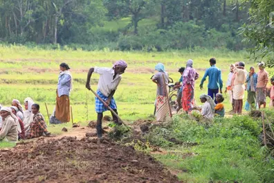 Employment guarantee scheme: Mandatory 60-day work pause norm draws criticism in Kerala