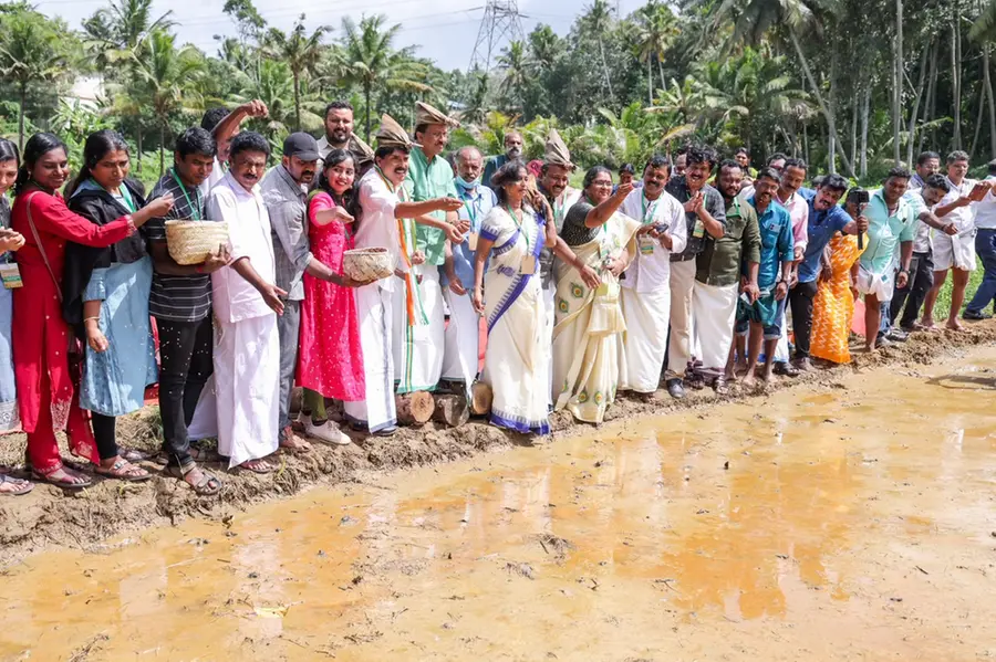 'തരിശുനിലങ്ങൾ ഇനി കതിരണിയും'; ഭക്ഷ്യസ്വയംപര്യാപ്തത ലക്ഷ്യമിട്ട് വൻ പദ്ധതിയുമായി സർക്കാർ