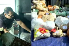 587 കിലോ കഞ്ചാവ്, 2.5 കിലോ MDMA; കത്തിയെരിഞ്ഞു ബ്രഹ്‌മപുരം പ്ലാന്റിൽ, നശിപ്പിച്ചത് 7.5 കോടിയുടെ ലഹരി