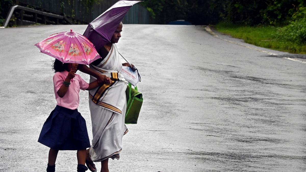 Wayanad schools, colleges closed on July 30 as IMD issues orange alert