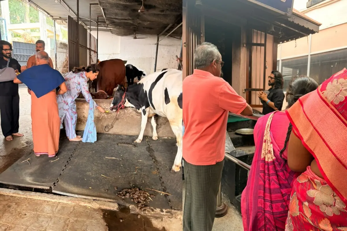 ഉപാസന പശുക്കളെ ഊട്ടുന്നു- രാം ചരണിനെ പിന്നിൽ കാണാം, രാം ചരൺ ക്ഷേത്രത്തിൽ പ്രാർഥിക്കുന്നു | Photo: X/ Laxmi Kanth