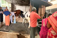 കൈക്കുഴയ്ക്ക് ശസ്ത്രക്രിയ: പിന്നാലെ അയ്യപ്പ സ്വാമി ക്ഷേത്ര ദർശനം നടത്തി രാം ചരൺ, ഒപ്പം ഭാര്യയും