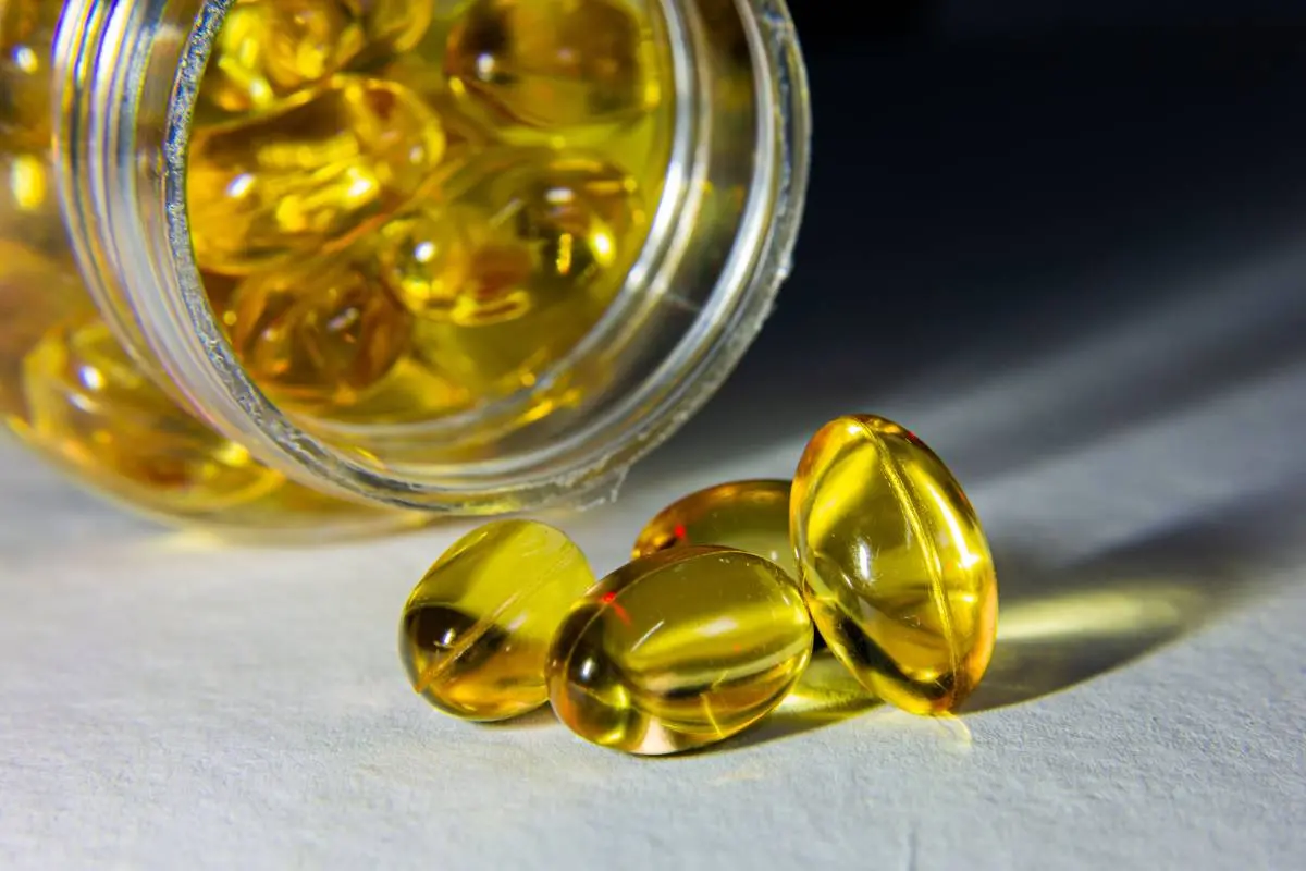 പ്രതീകാത്മക ചിത്രം | Pexels