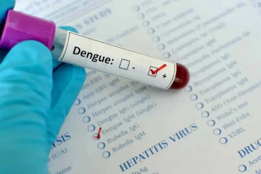 dengue