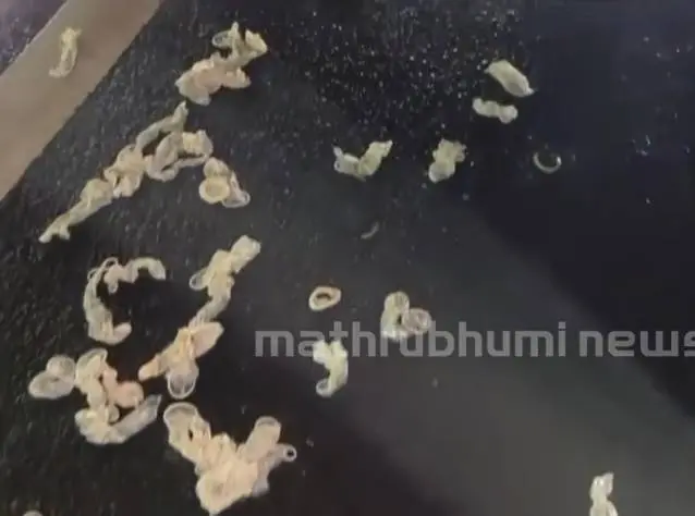 Photo: Screengrab/ Mathrubhumi News