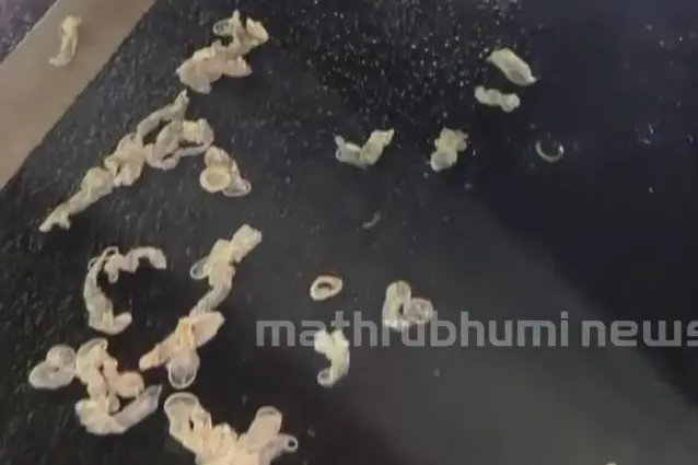 condom