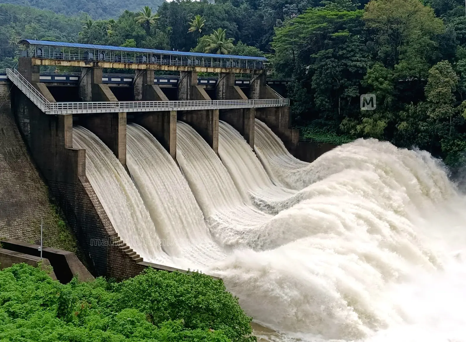 കല്ലാർകുട്ടി ഡാം| File Photo: Sreejith P Raj/Mathrubhumi