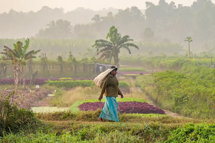 farmer