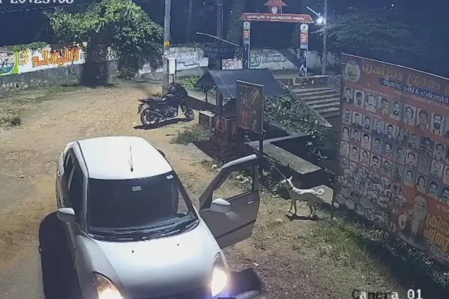 നായയെ കാറിൽ കൊണ്ടിറക്കി, പിന്നാലെ ഇടിച്ചുകൊന്നു; ദാരുണസംഭവം ആറ്റിങ്ങലിൽ