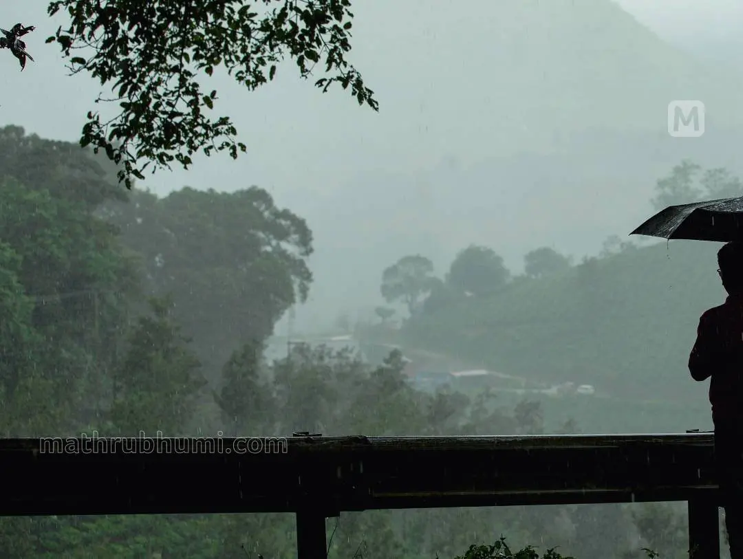 പ്രതീകാത്മക ചിത്രം. ഫോട്ടോ: പി.ജയേഷ്