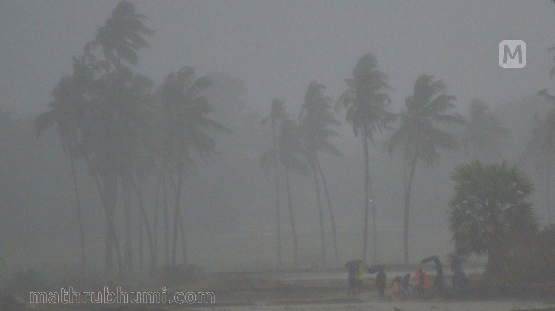 Heavy Rain Lashes Idukki: Landslides Reported in Two Locations, Houses Submerged
