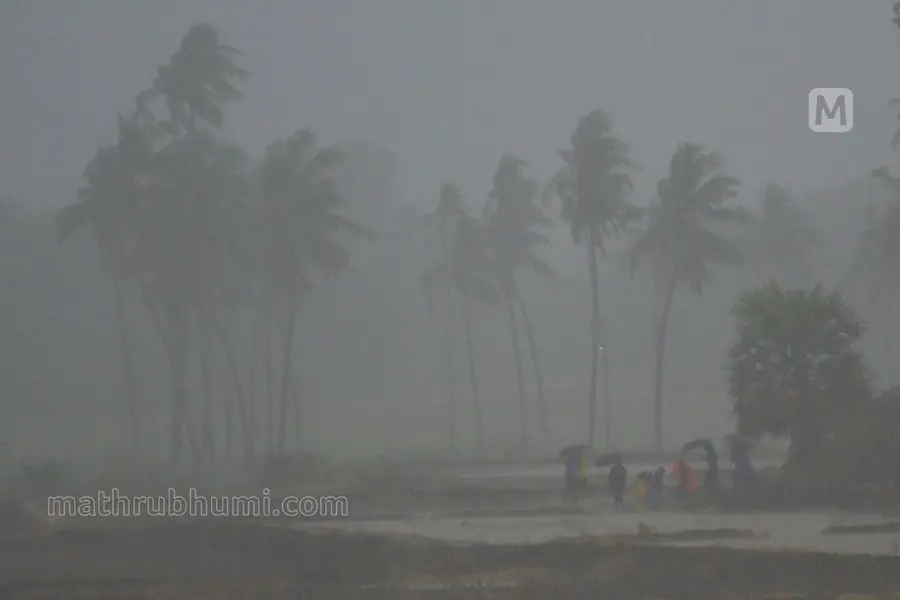 ഇടുക്കിയിൽ കനത്ത മഴ; രണ്ടിടത്ത് ഉരുൾപൊട്ടൽ, വീടുകളിൽ വെള്ളം കയറി