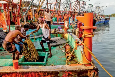Hope sails, concerns remain as Kerala's 52-day trawling ban ends and boats head to sea