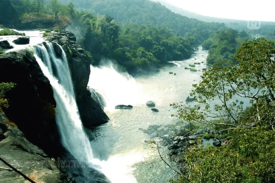 Kerala rain: Tourist destinations shut, travel curbs imposed; officials on high alert