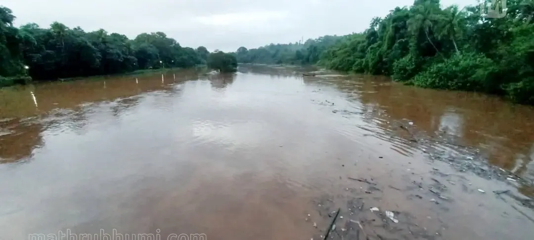 പ്രതീകാത്മക ചിത്രം | ഫോട്ടോ: മാതൃഭൂമി