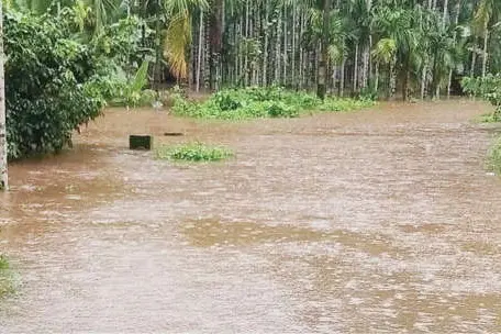 തേജസ്വിനി കരകവിഞ്ഞു:കിനാനൂർ കരിന്തളത്ത് ജാഗ്രത