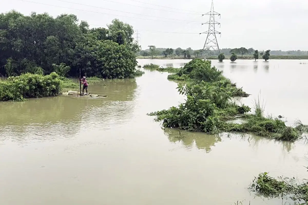 A local uses a traditional transportation method in a flood-like-affected area as the Keleghai River overflows due to continuous rainfall in Narayangarh, Paschim Medinipur, on Friday. (ANI Video Grab)